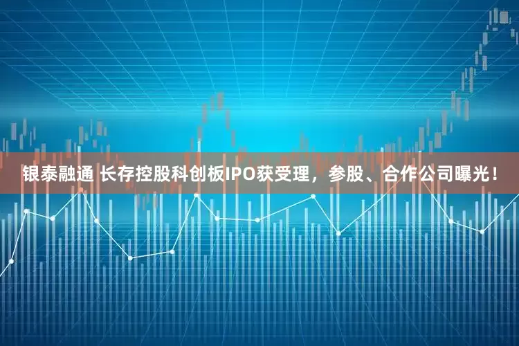 银泰融通 长存控股科创板IPO获受理，参股、合作公司曝光！